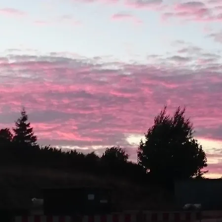 Schlei-liesels Lejlighed